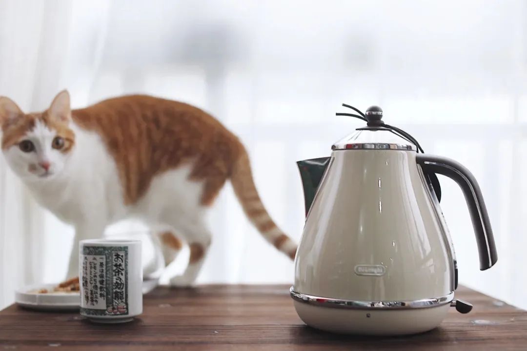 每一件都想拥有！美食博主原来是这样买餐具的