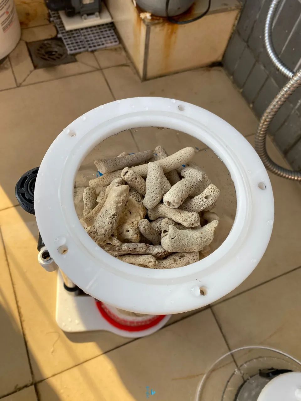 2020款,BM第3代钙反实测