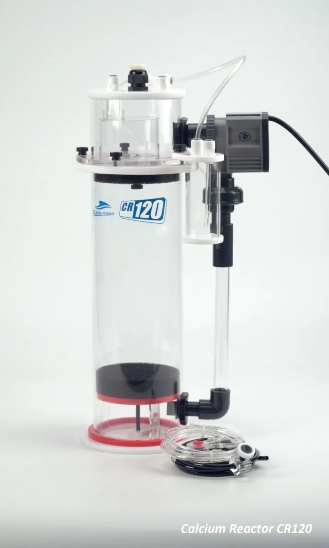 2020款，BM第3代钙反实测