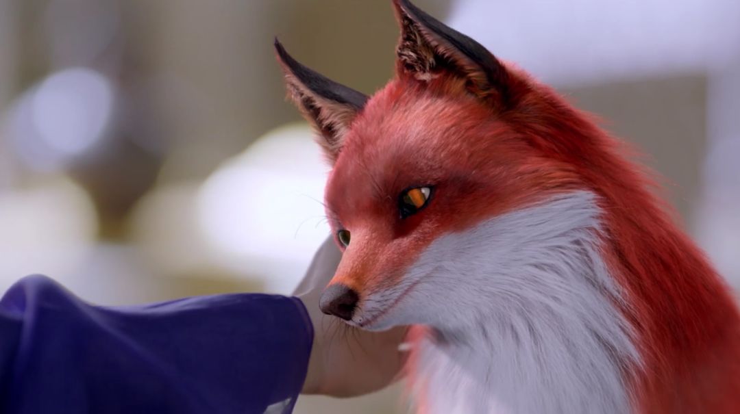 当代女孩为何沉迷于嗑cp,当代女生单身的原因是因为嗑cp