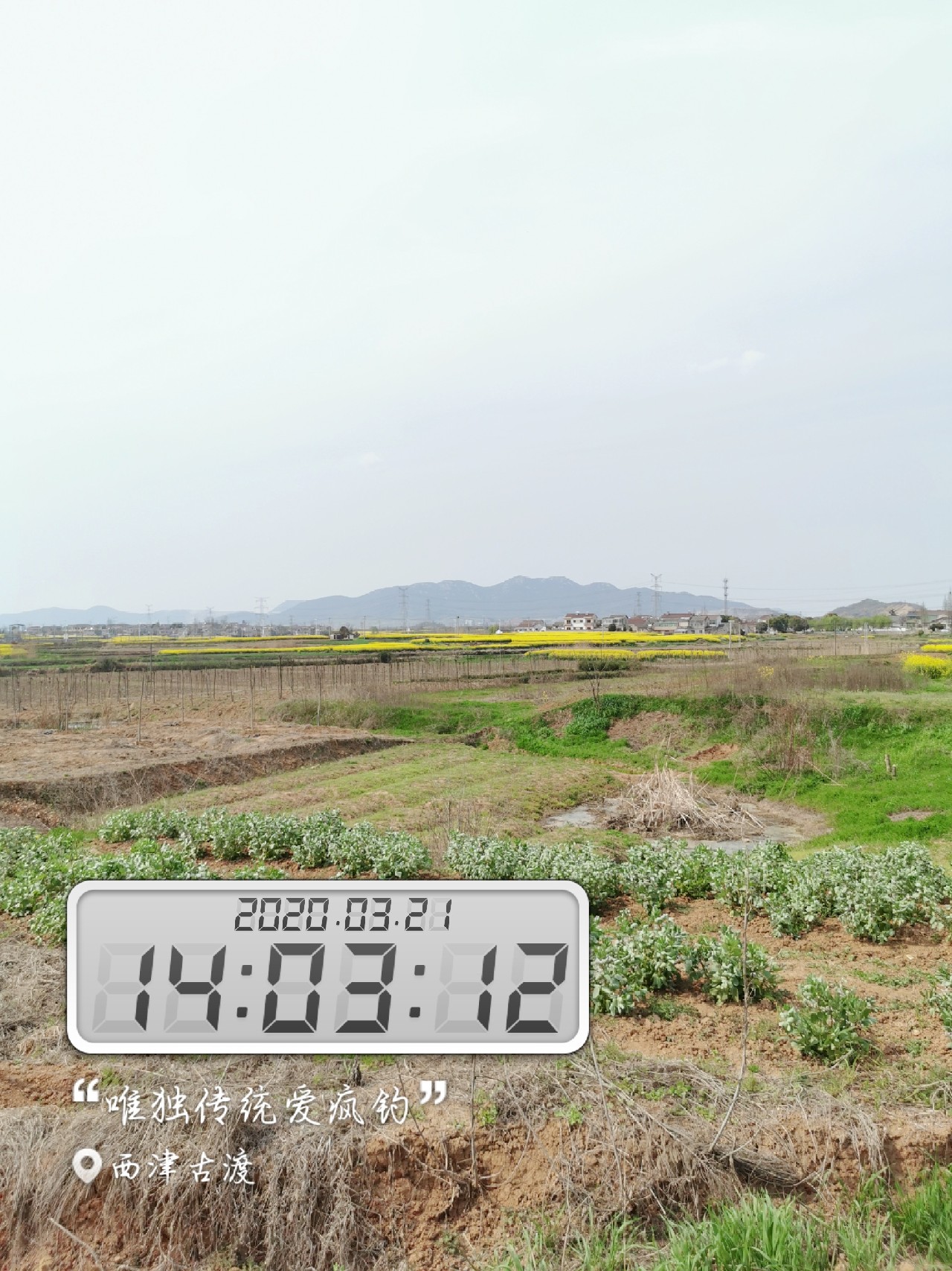 路亚雷强水老鼠,2022路亚雷强视频