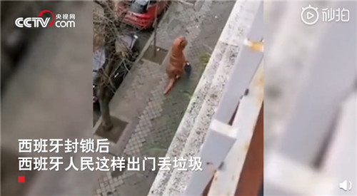 会玩！外国民众居家抗疫乐趣多：阳台办起音乐会，无人机遛狗，厕纸成了筹码