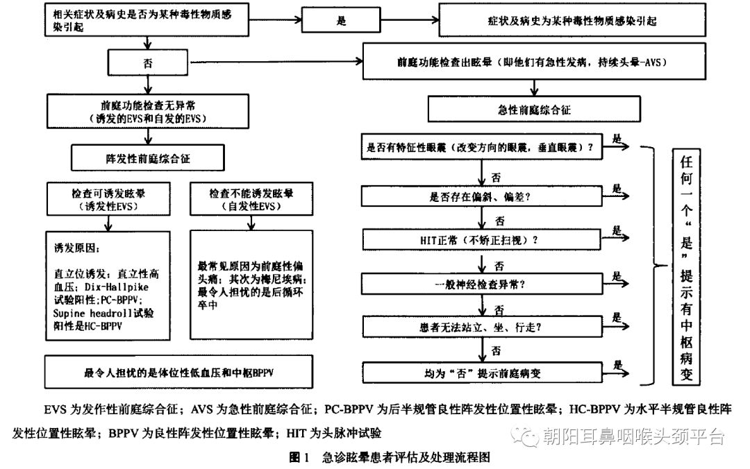 晕晕的——眩晕莫慌，我们来帮