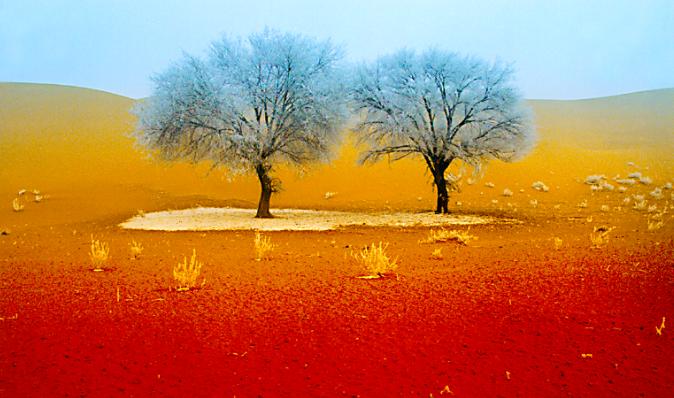 沙坡头骑骆驼游记,宁夏沙坡头旅游攻略