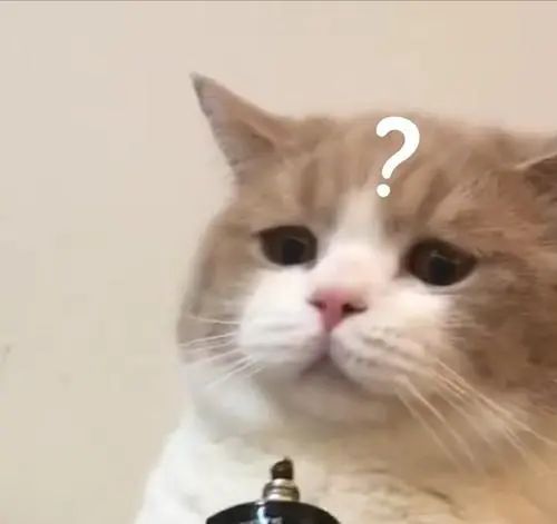 网逃在洗浴中心过夜会被抓吗,网逃男子因天气太热到派出所乘凉