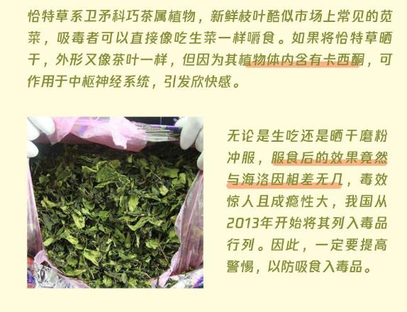 有毒的食物不能乱吃,有毒的食物别再吃