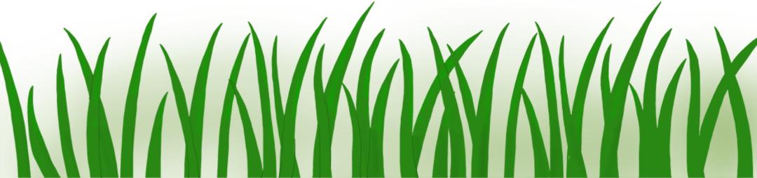 「年度散文推荐」鲁世俊｜欢乐的城市