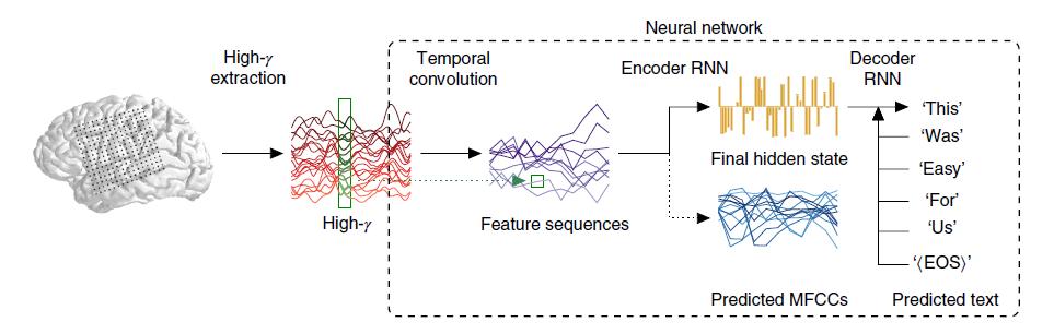 科学家解码脑电波,华裔科学家解码脑电波