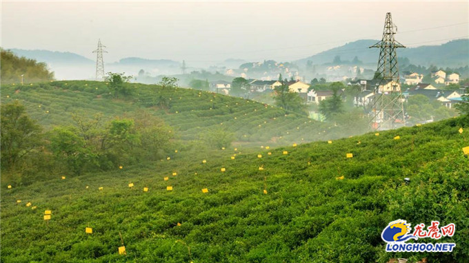 消费券南京领了怎么用,消费券民宿