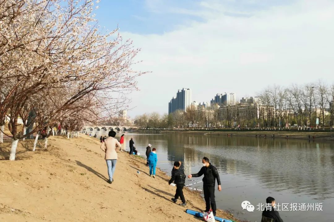 通州大运河垂钓点,最新北京22处免费垂钓区地图