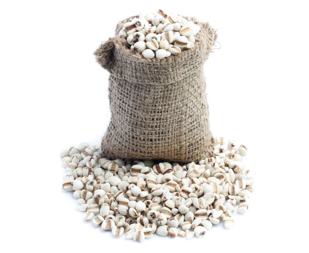 家里粮食和食品太多也是负担！怎么存这里有答案