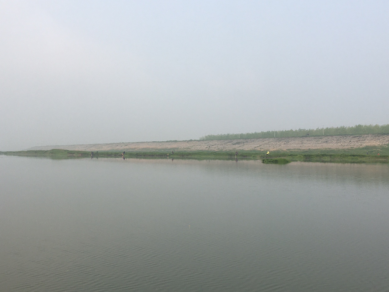 锵锵三人行余秀华读诗,锵锵三人行马未都邓亚萍