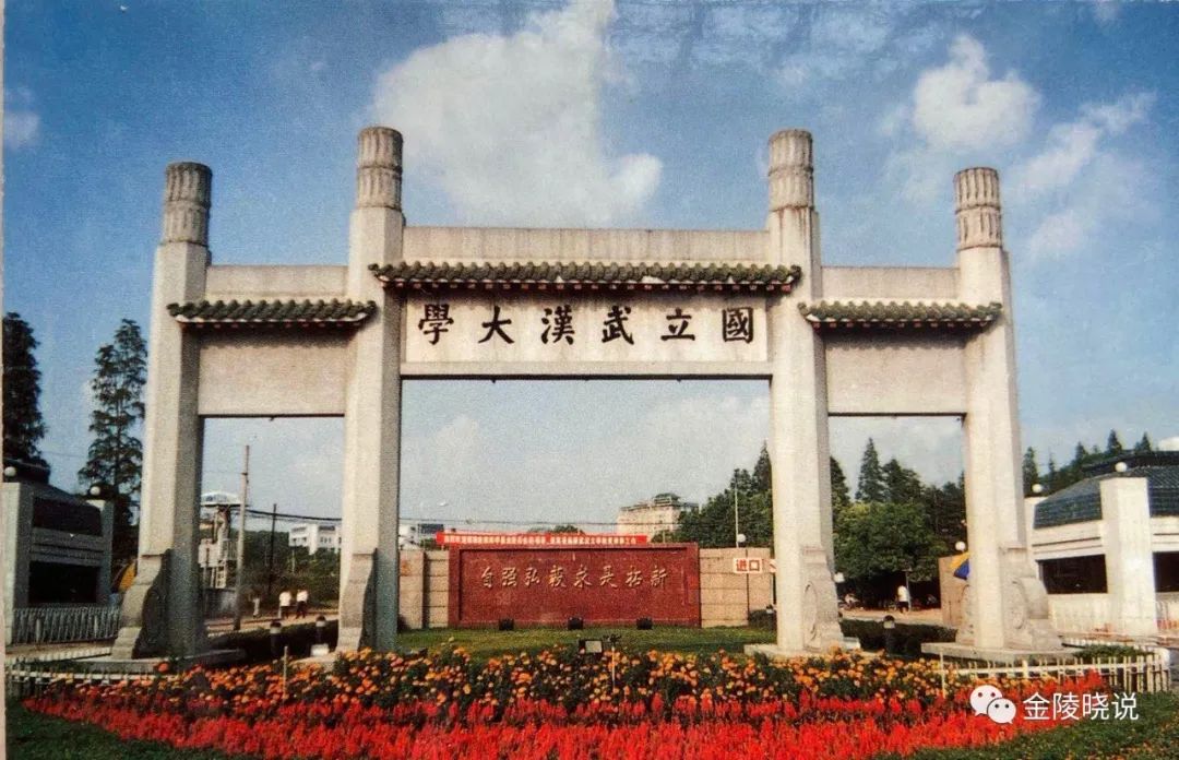 中南往事的故事,中南往事2019