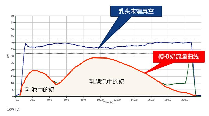 奶牛养殖技术难题及答案,奶牛接产常见问题