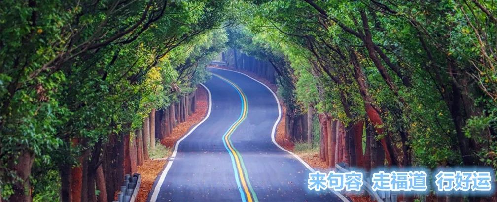 江苏省教育厅公布20所学校,句容市学校名单