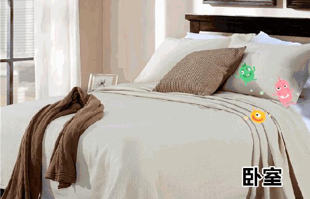 床上放个它，让螨虫绝望，让螨虫自杀，比太阳暴晒强1万倍