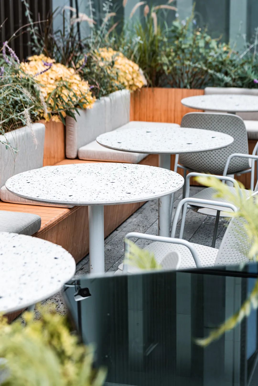 深圳奶茶多少钱一杯,深圳富豪茶餐厅