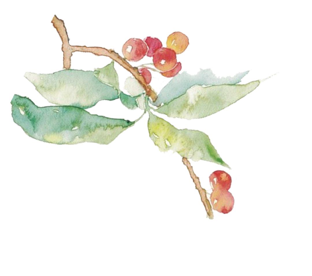 重阳关爱老人暖人心,重阳节陪伴是最好的孝心