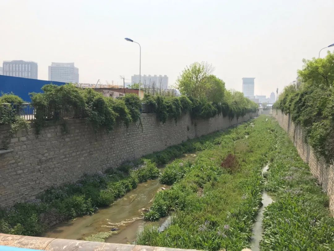 金科集美天宸2021年房价,金科集美天悦是高层吗