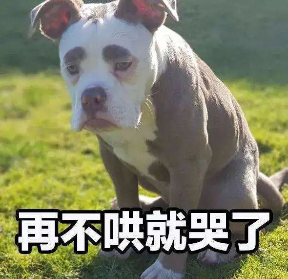 不吃糖大脑挂机？甜食致癌？“抗糖”到底怎么吃