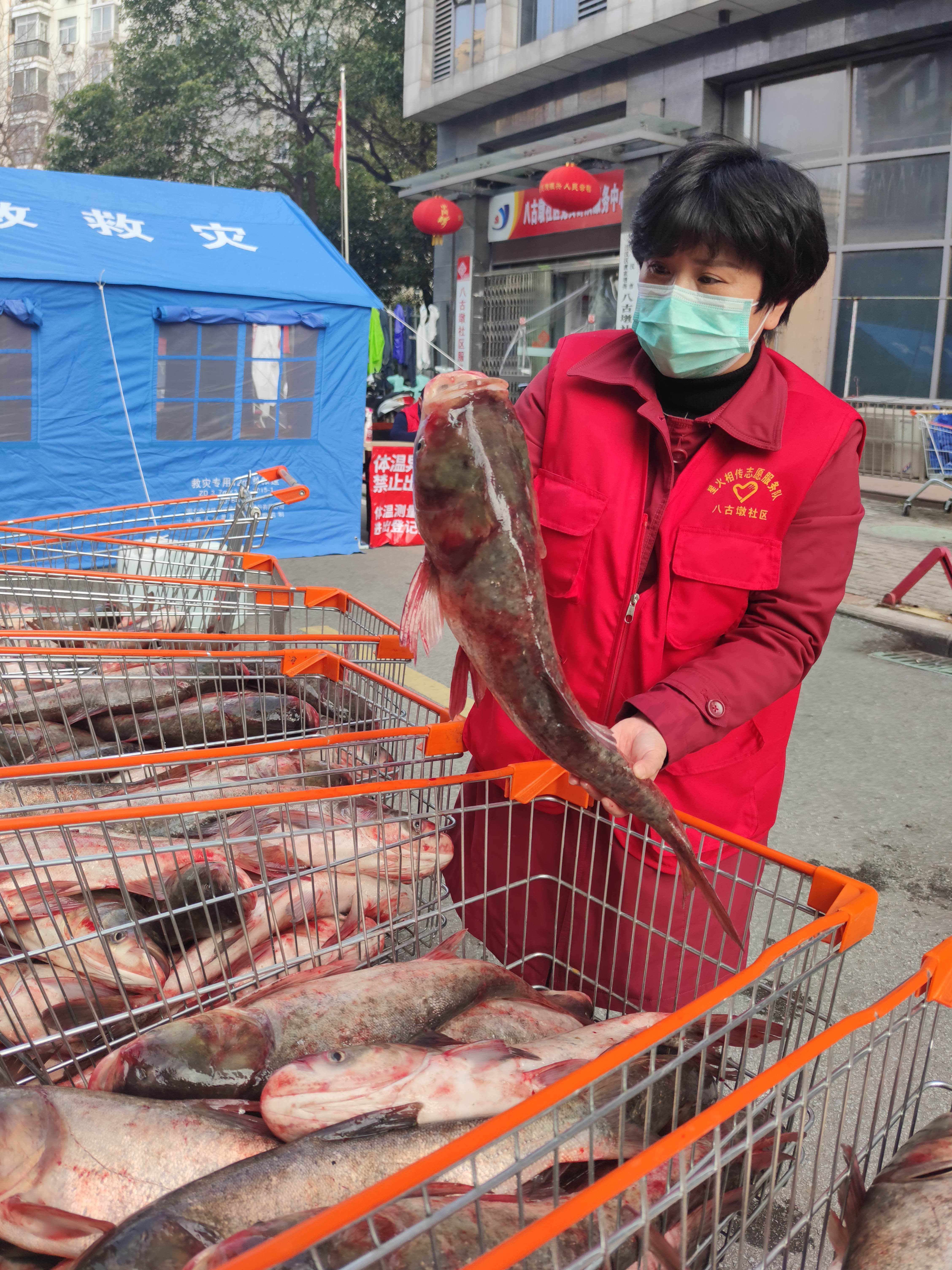 武汉市江汉区八古墩,武汉汉口八古墩