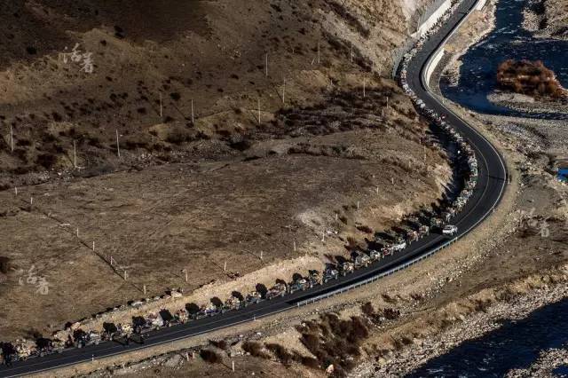 四川藏区最大的虫草产区和交易集散地理塘县启动虫草采集管理工作