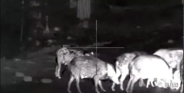 热成像瞄准镜推荐,夜晚热成像瞄准镜