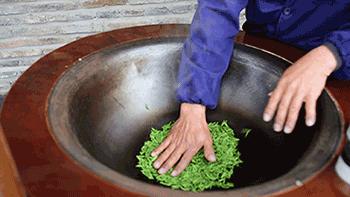 喝一口就忘不了的特级明前龙井,一年一次的明前龙井怎能错过