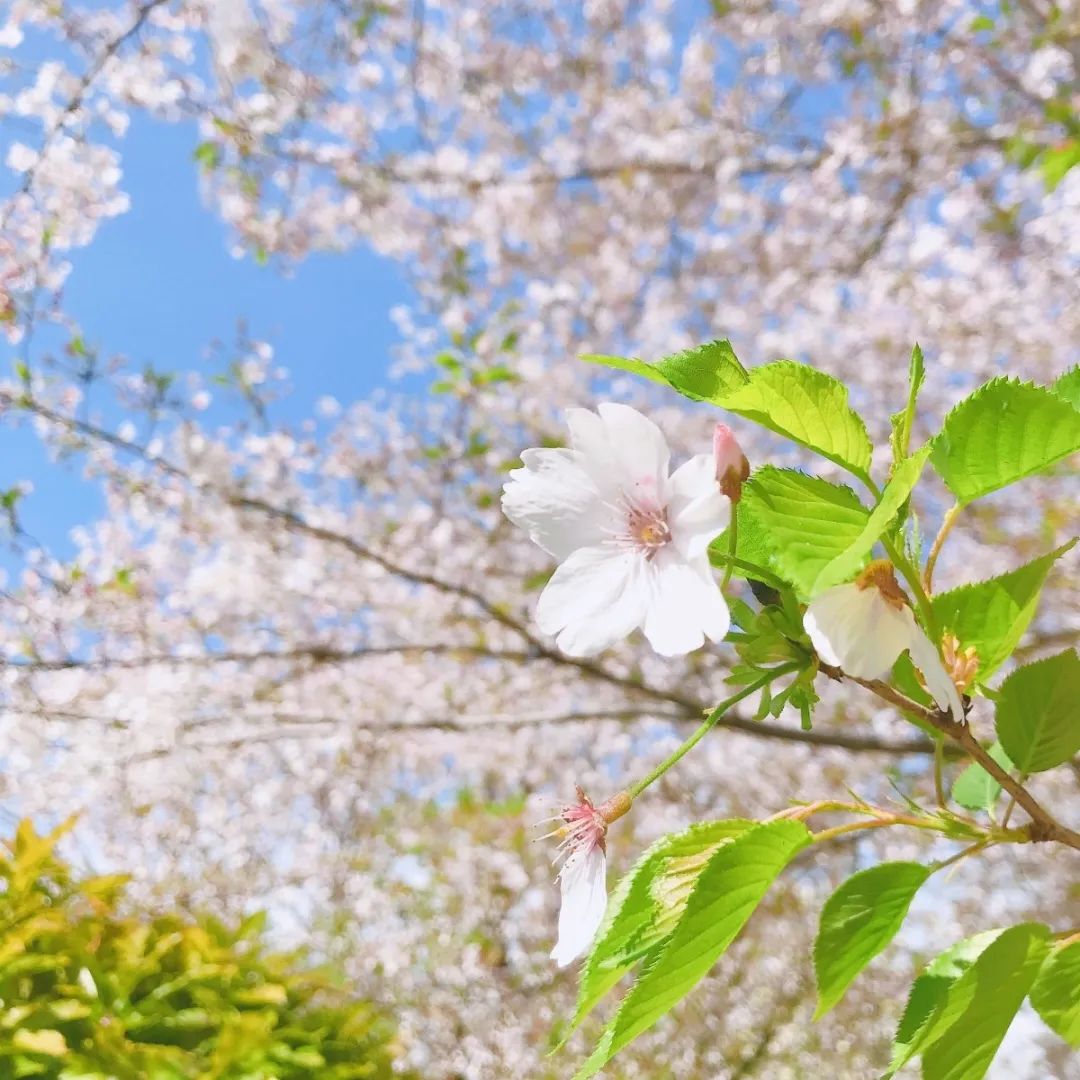 秋冬最水润的粉底液,粉底液推荐秋冬奶油肌
