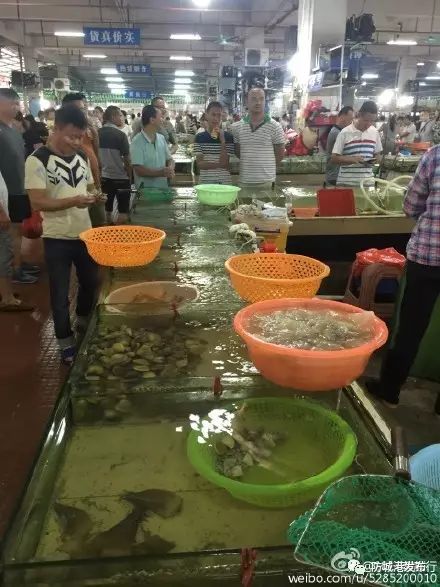 防城港休渔期可以赶海吗,禁渔期防城港码头买海鲜