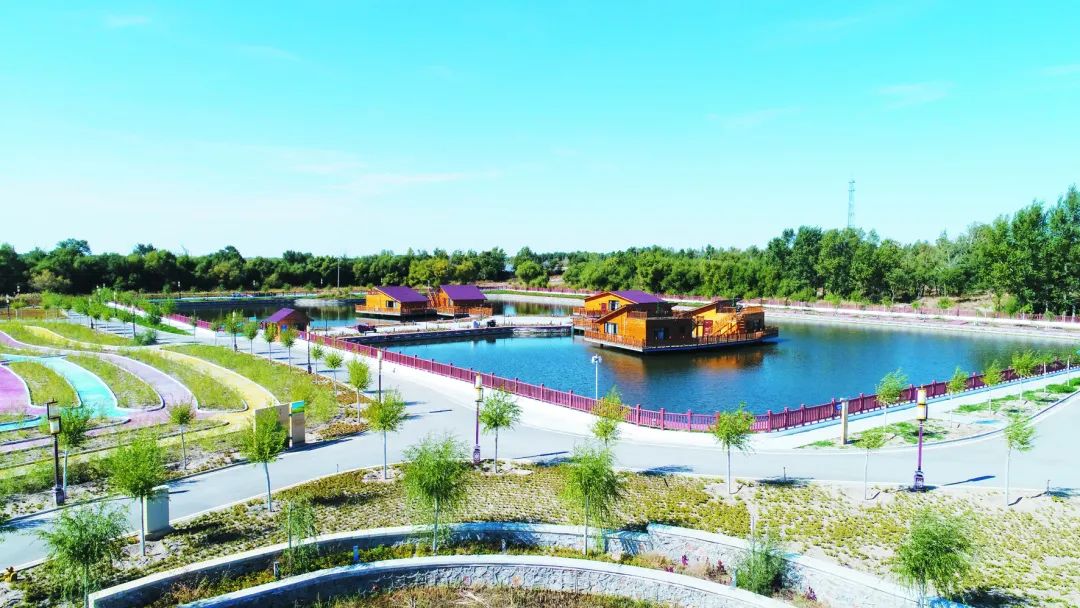 「*会两**·特刊」聚焦发展启新程春来奈曼沙变金