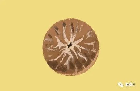 复习这些名解时总觉得怪饿的|协和八·脑洞大开