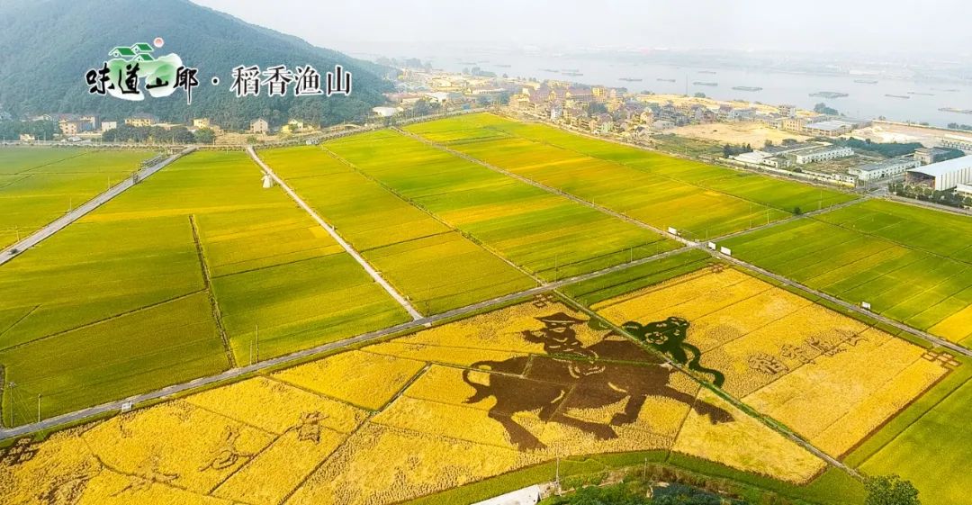 富阳规划2022,期待三年后再创佳绩可以怎么表达