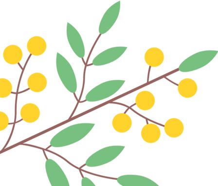 花漾秦淮|最是一年春好处，木香盛放醉秦淮