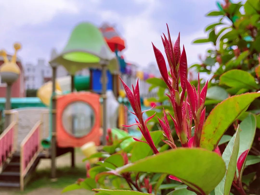 四月校园联谊,四月相聚