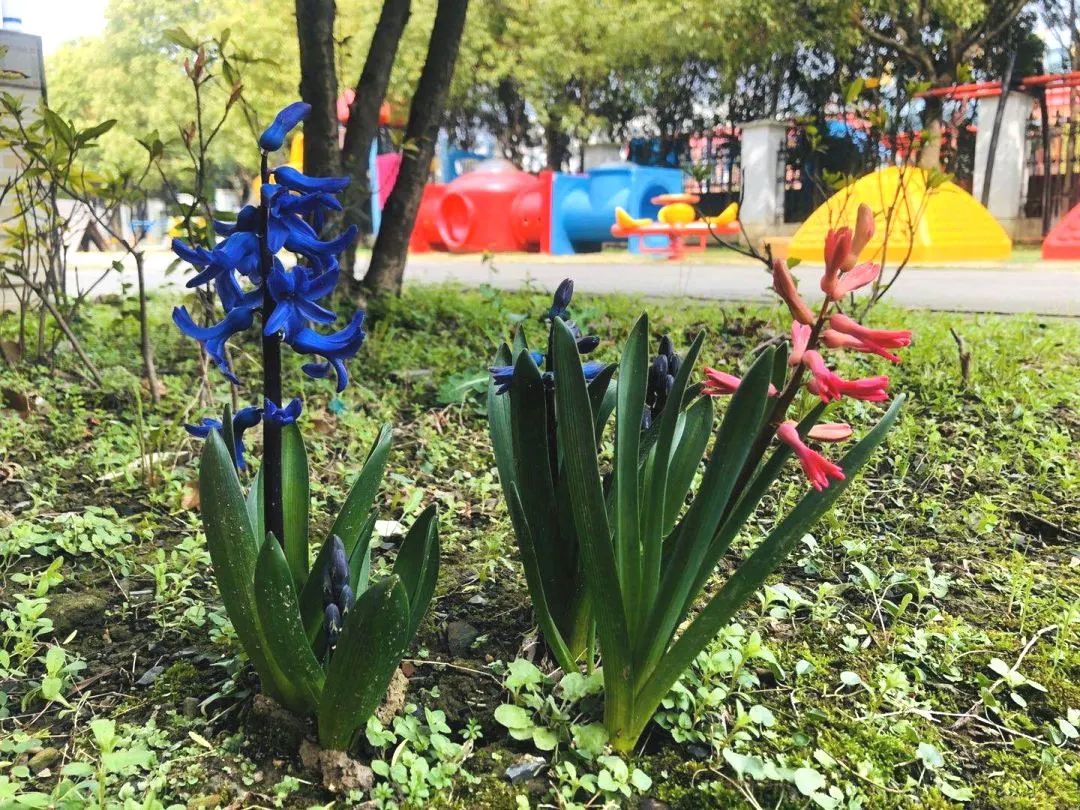 四月校园联谊,四月相聚