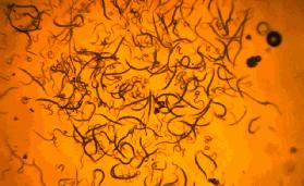 这床夏凉被，一盖就凉，不开空调也很爽