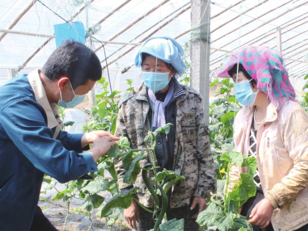 早安乌兰察布市,早安内蒙古