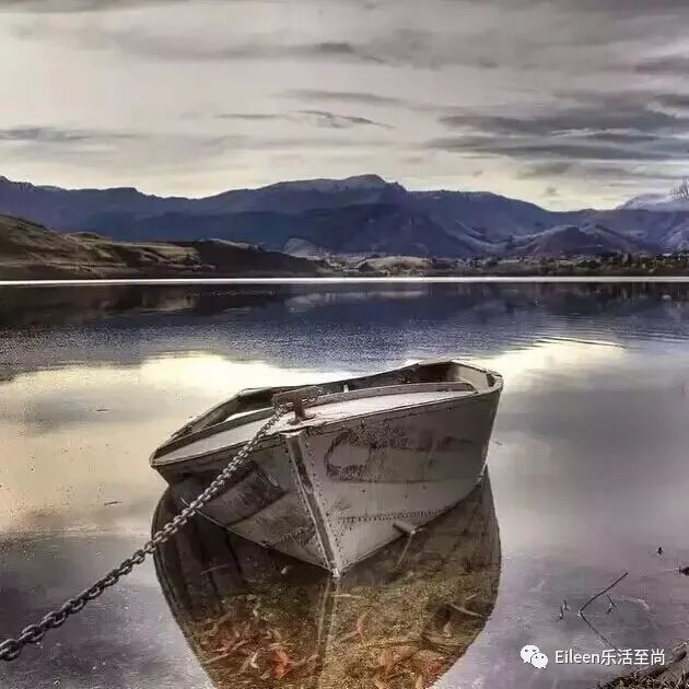 迪拜王妃出逃的真实原因,迪拜出逃英国王妃