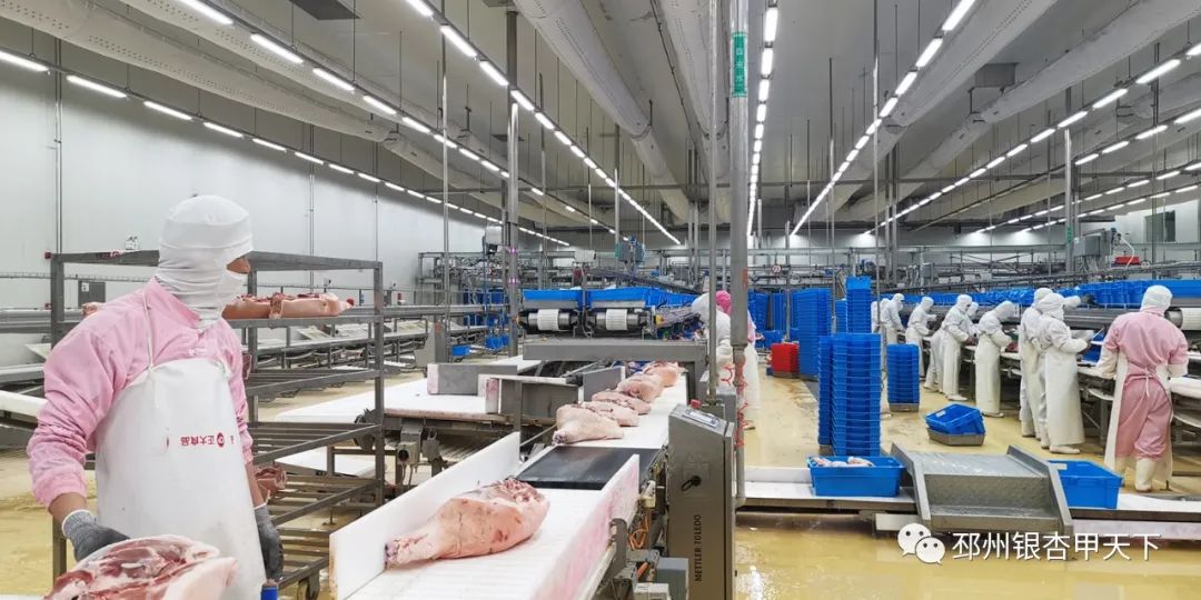 邳州工业产业发展,起步就要冲刺开局就要争先