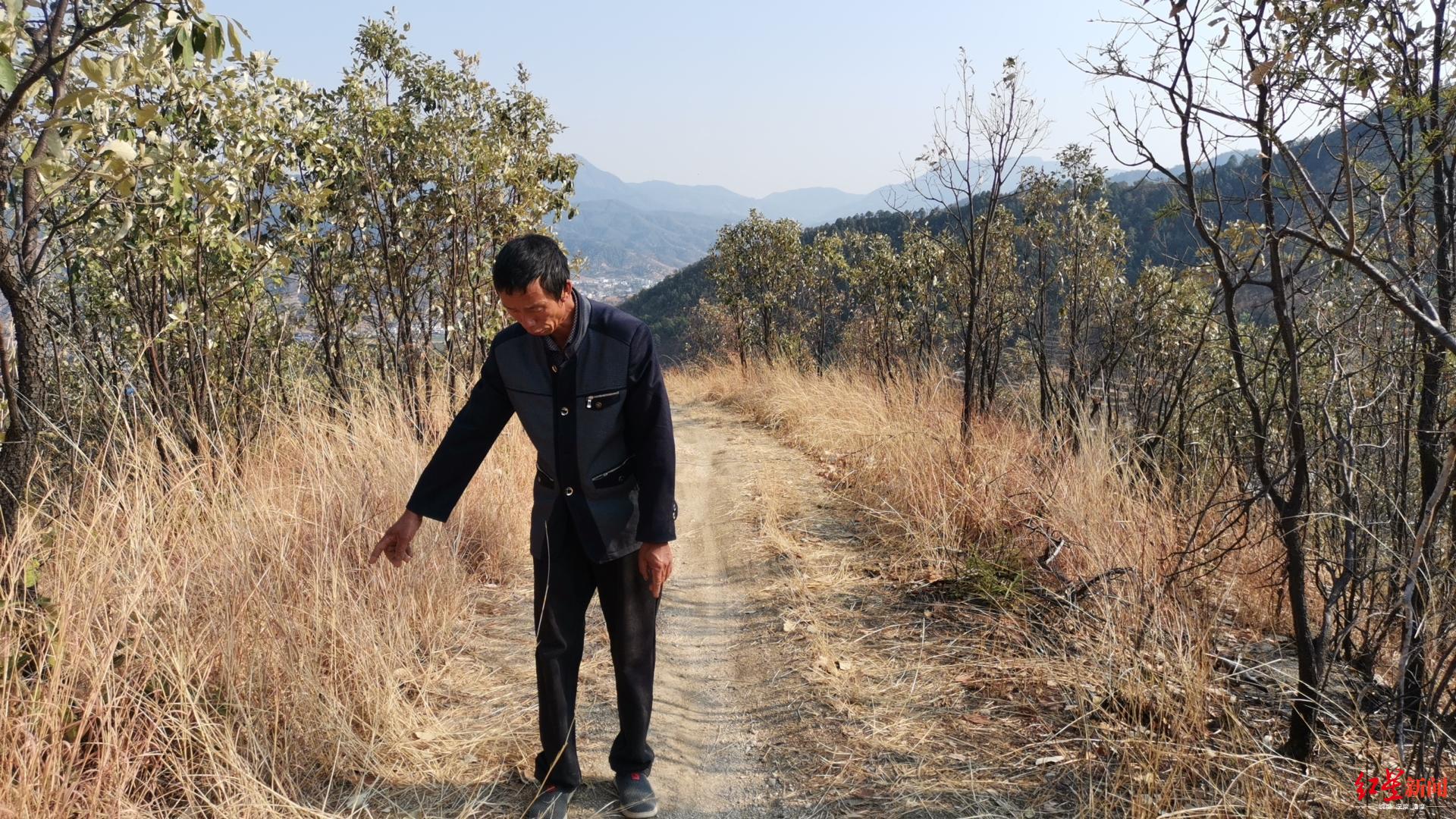 关于农民自费修山路被罚4万元,农民修路造自费山路被罚最新进展