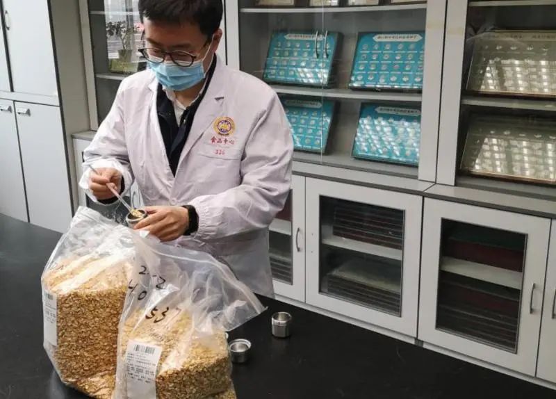 还有人从国外寄来20多只果蝠标本?海淘代购注意了,邮寄蜥蜴、盆景入境,可能会入刑