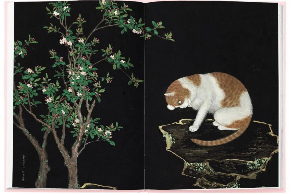 280部国学经典值得细细品读,100部顶级经典国学