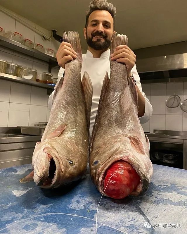 娣辨捣鎬奔缇庨,娣辨捣鎬奔鍒朵綔