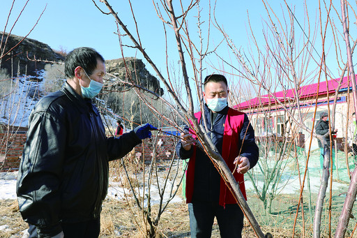 抢农时保春耕全国上下齐心协力,乌兰浩特春耕新闻