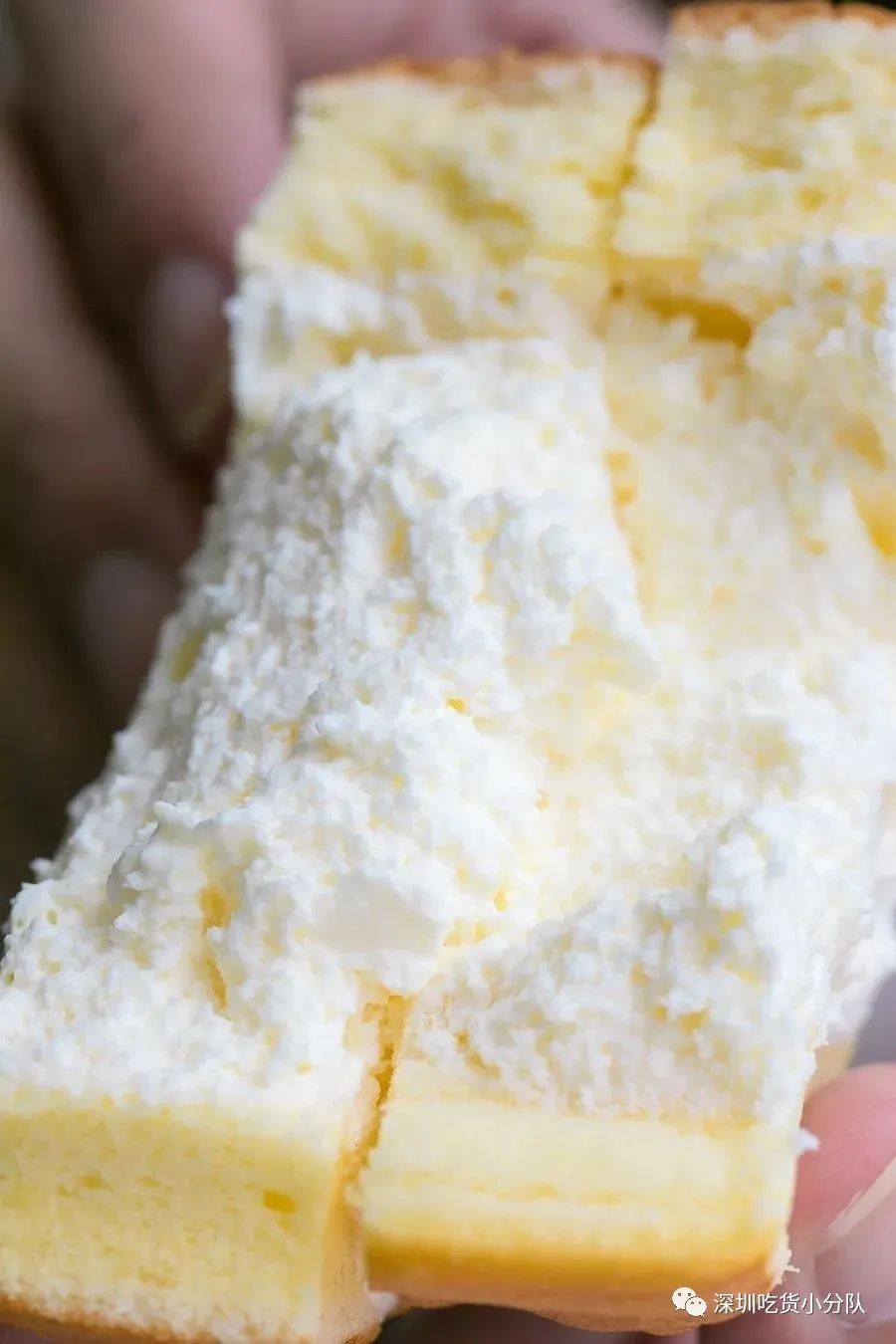 0℃面包，火来深圳了