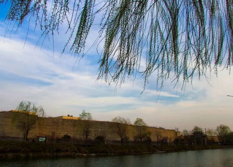 石家庄的春天真的太美啦,石家庄春天看花