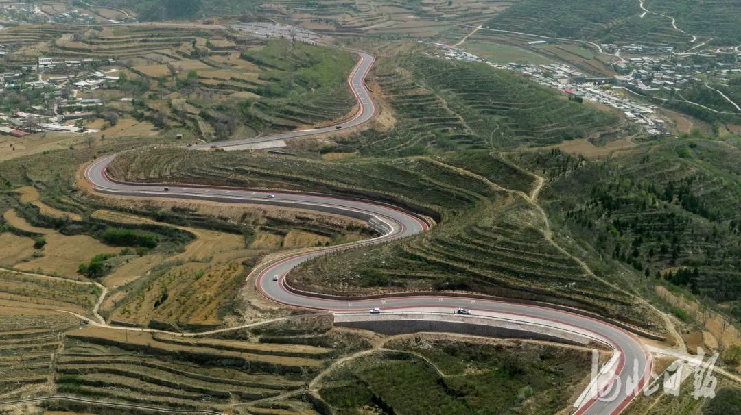 石家庄的春天真的太美啦,石家庄春天看花