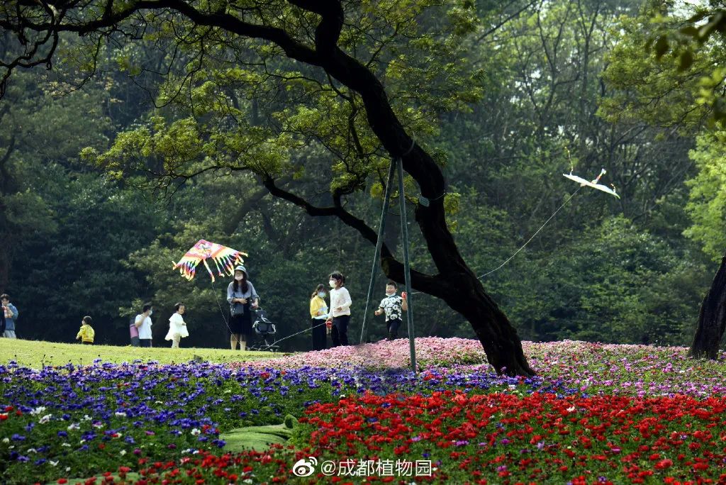 成都周边一日游免费景点推荐,成都温江十大景点免费