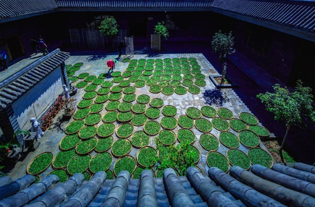 茶香禅韵入梦完整视频,世外桃源神仙度假地